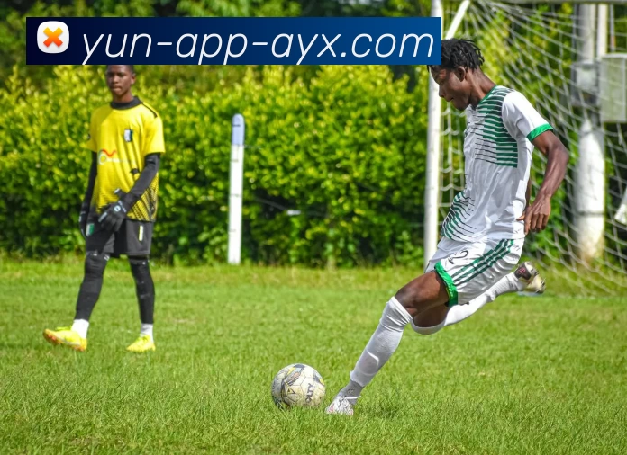 爱游戏AYX品牌故事