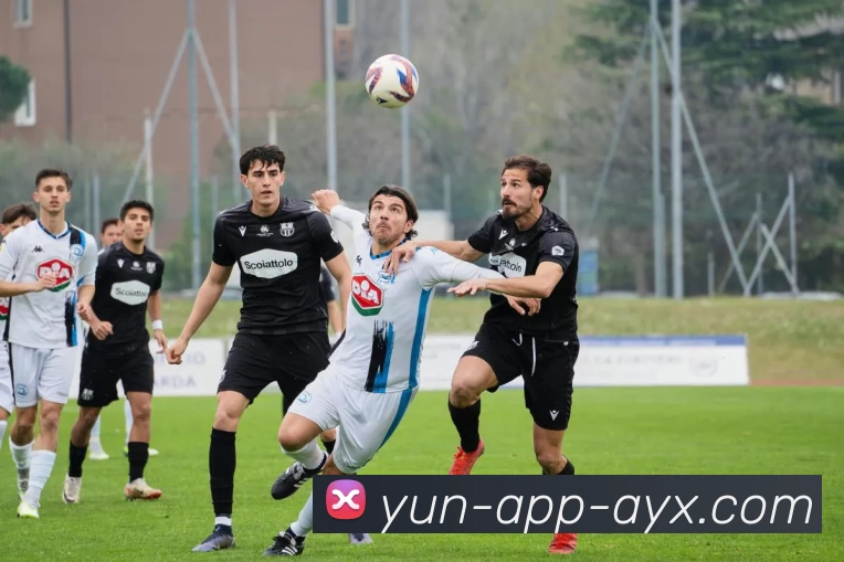 爱游戏AYX服务体系