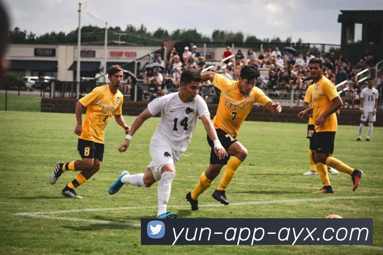 多媒体互动体验